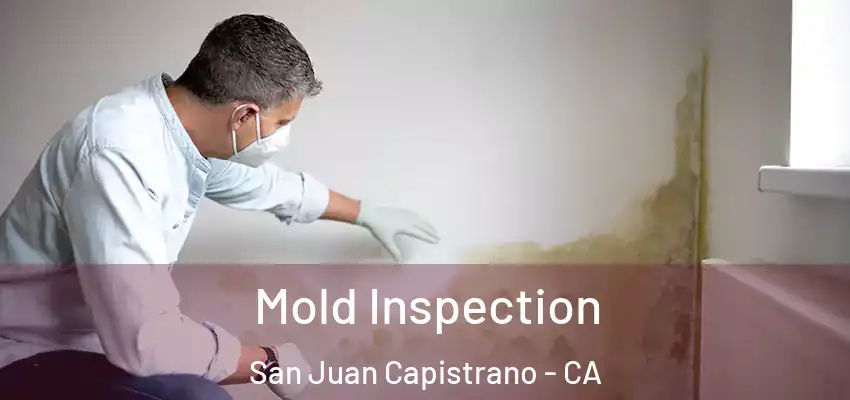 Mold Inspection San Juan Capistrano - CA