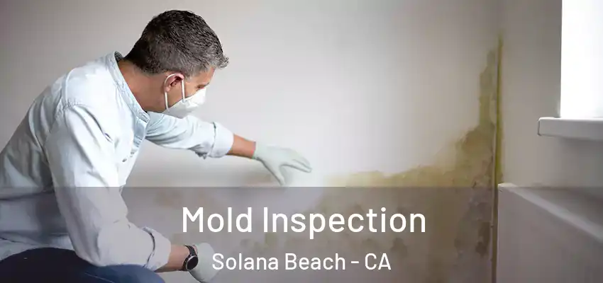 Mold Inspection Solana Beach - CA
