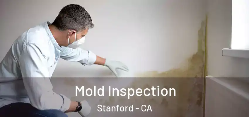  Mold Inspection Stanford - CA