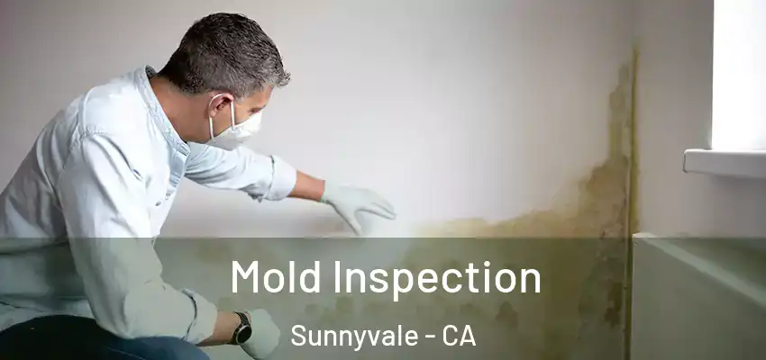  Mold Inspection Sunnyvale - CA