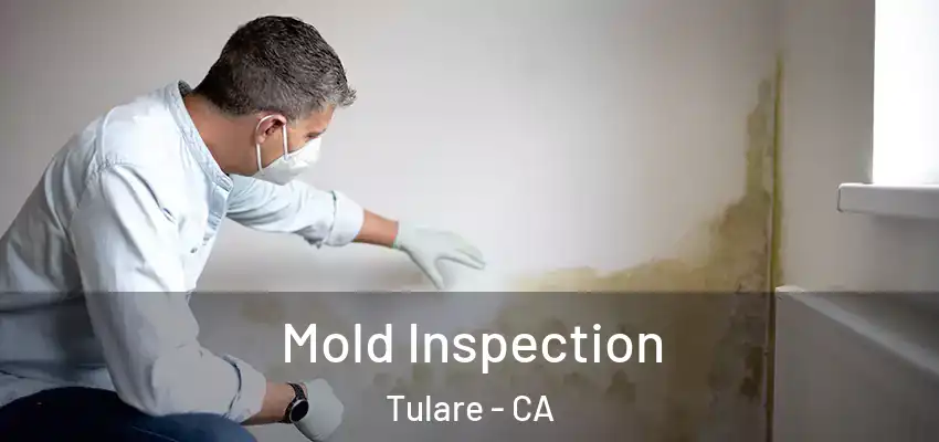  Mold Inspection Tulare - CA