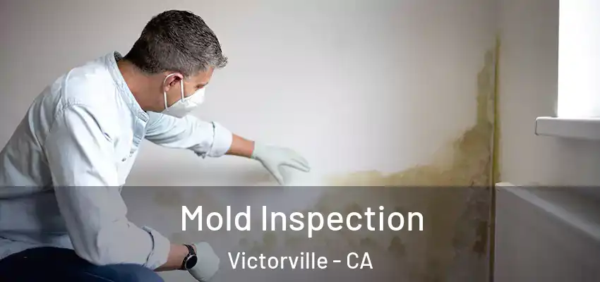  Mold Inspection Victorville - CA