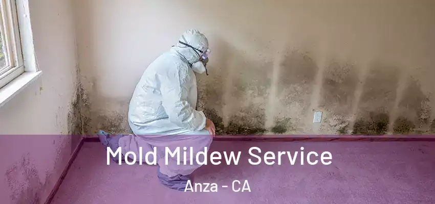  Mold Mildew Service Anza - CA