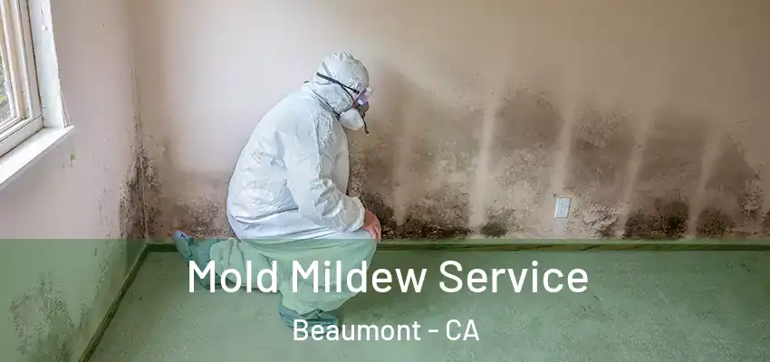  Mold Mildew Service Beaumont - CA