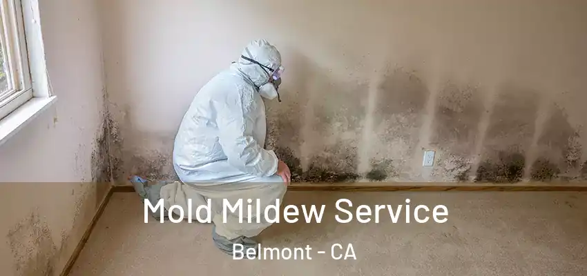  Mold Mildew Service Belmont - CA