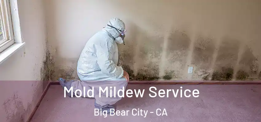  Mold Mildew Service Big Bear City - CA