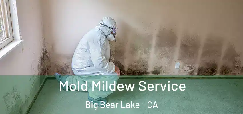  Mold Mildew Service Big Bear Lake - CA