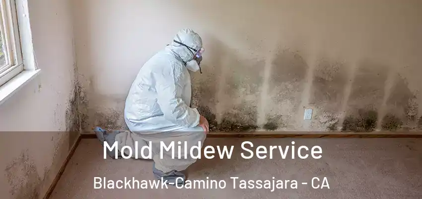  Mold Mildew Service Blackhawk-Camino Tassajara - CA
