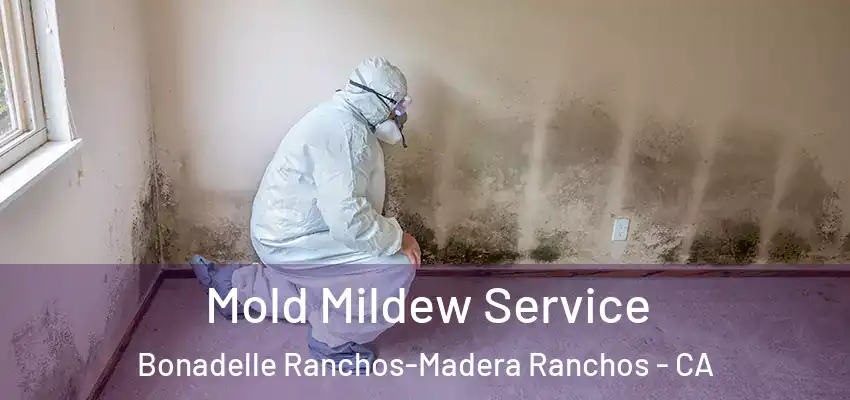 Mold Mildew Service Bonadelle Ranchos-Madera Ranchos - CA