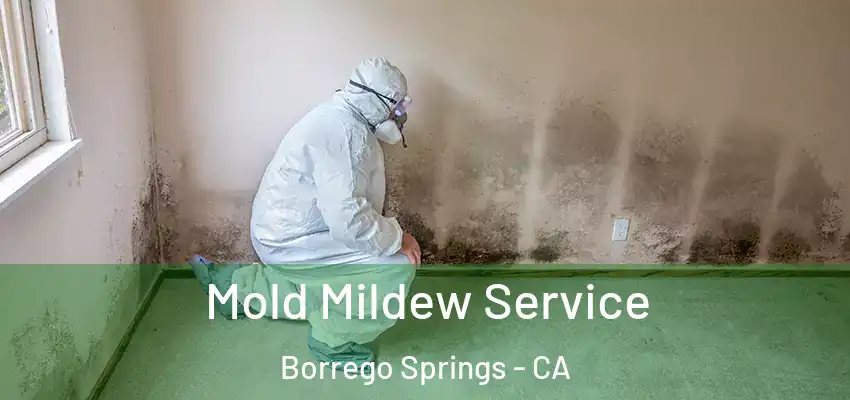  Mold Mildew Service Borrego Springs - CA