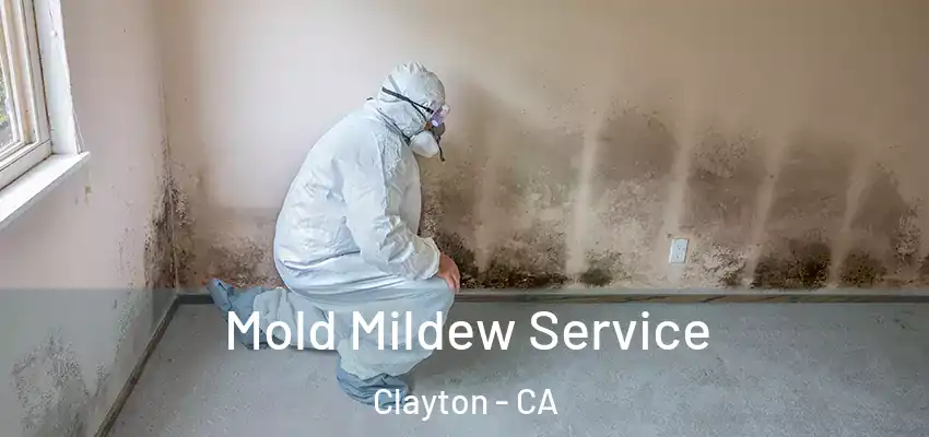  Mold Mildew Service Clayton - CA