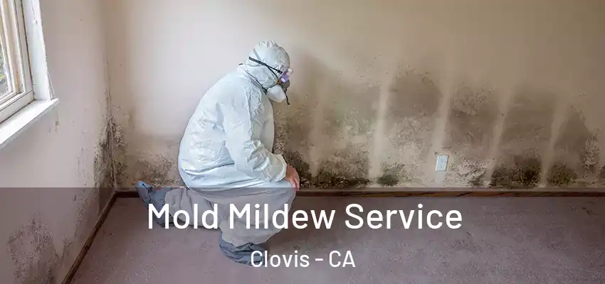  Mold Mildew Service Clovis - CA