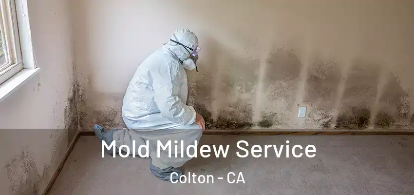  Mold Mildew Service Colton - CA