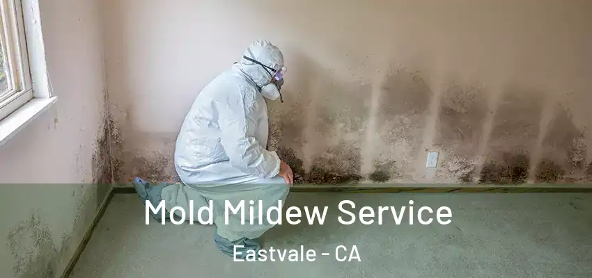  Mold Mildew Service Eastvale - CA