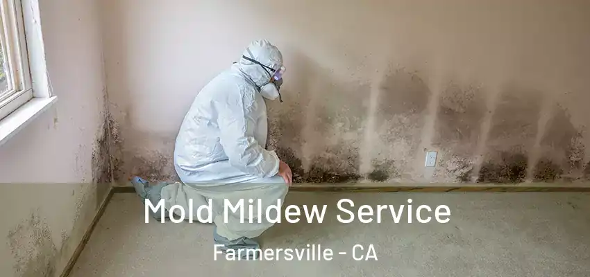  Mold Mildew Service Farmersville - CA