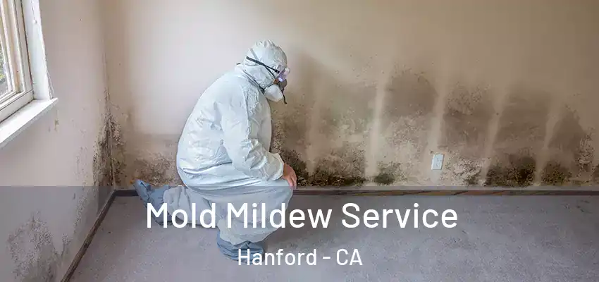  Mold Mildew Service Hanford - CA