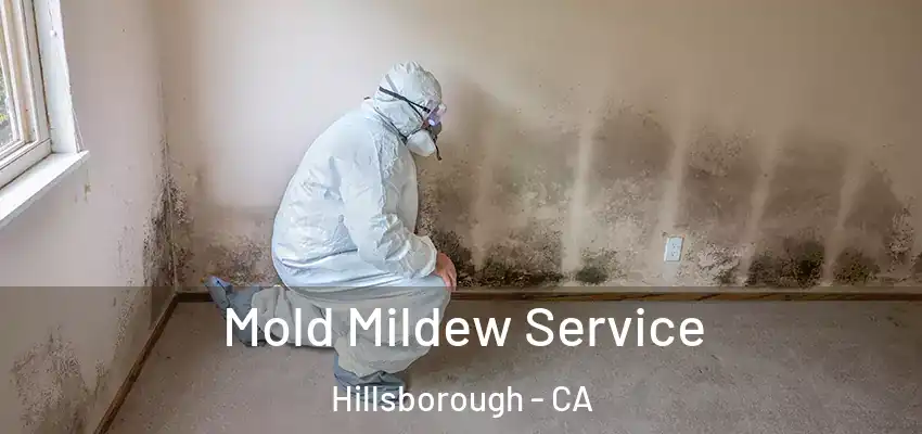  Mold Mildew Service Hillsborough - CA