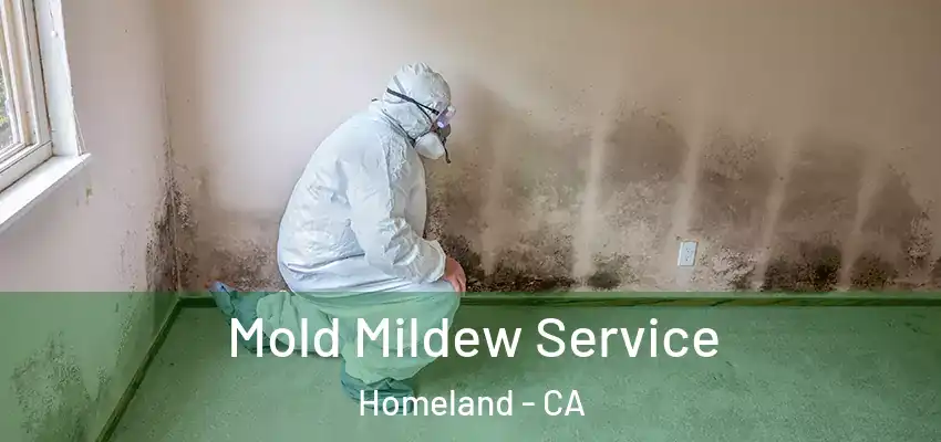  Mold Mildew Service Homeland - CA