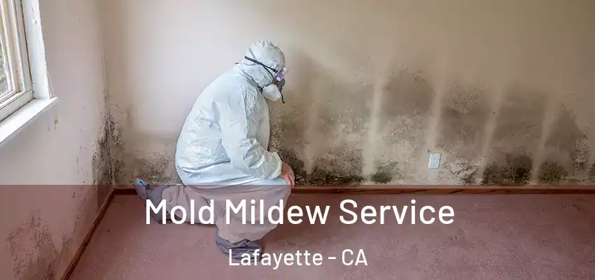 Mold Mildew Service Lafayette - CA