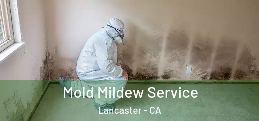  Mold Mildew Service Lancaster - CA