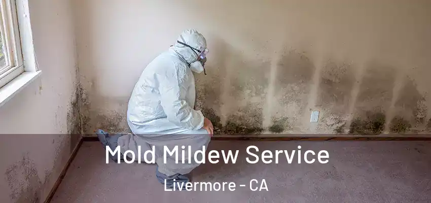 Mold Mildew Service Livermore - CA