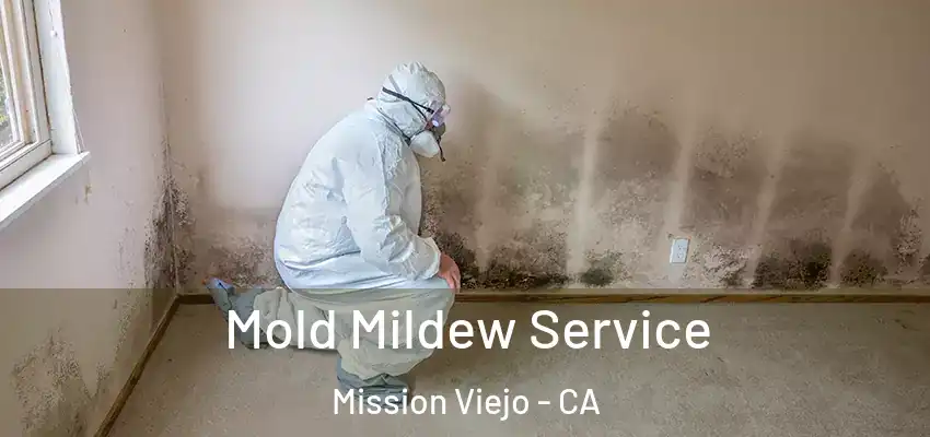 Mold Mildew Service Mission Viejo - CA