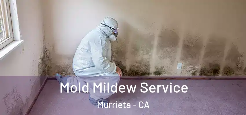  Mold Mildew Service Murrieta - CA