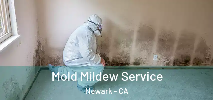 Mold Mildew Service Newark - CA