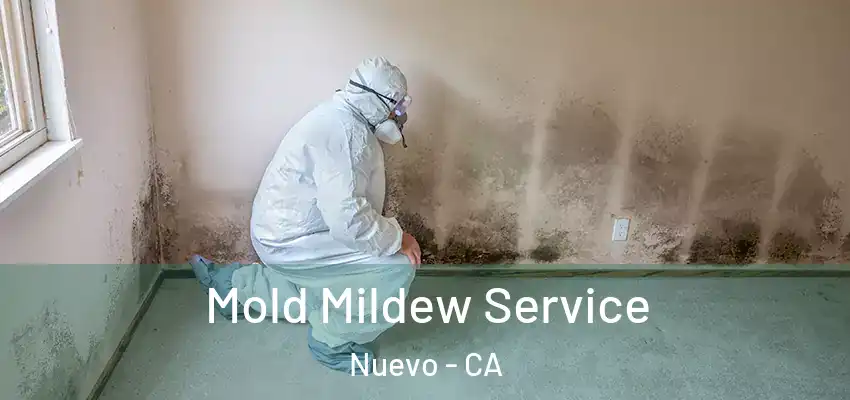 Mold Mildew Service Nuevo - CA