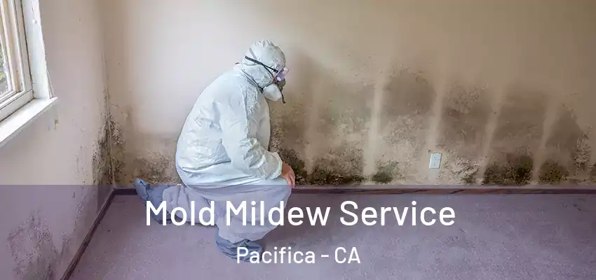  Mold Mildew Service Pacifica - CA