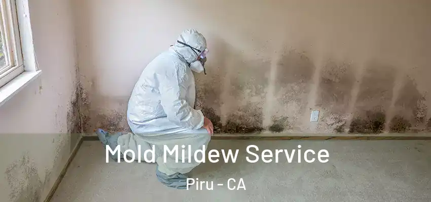 Mold Mildew Service Piru - CA