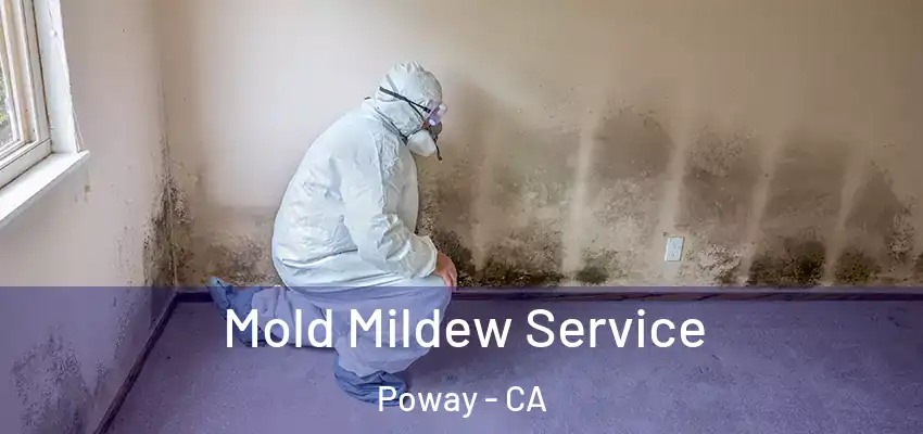  Mold Mildew Service Poway - CA