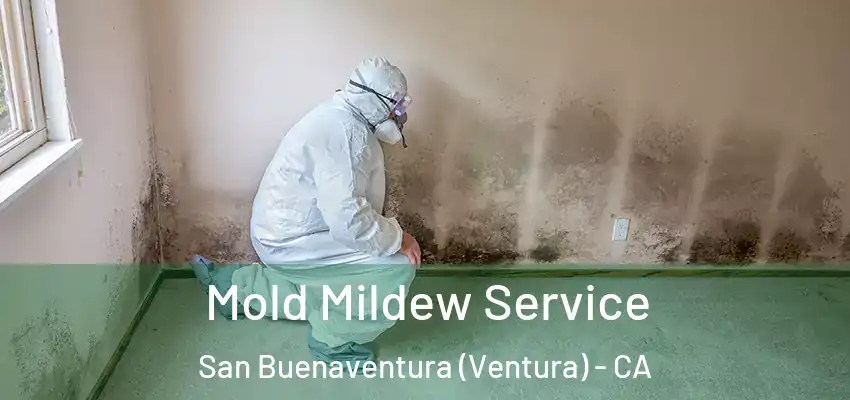  Mold Mildew Service San Buenaventura (Ventura) - CA