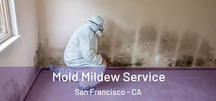  Mold Mildew Service San Francisco - CA