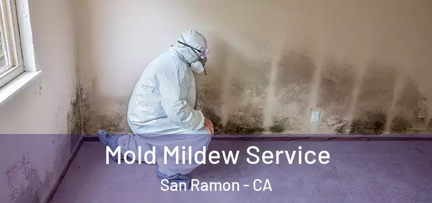  Mold Mildew Service San Ramon - CA
