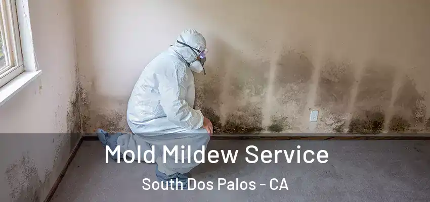  Mold Mildew Service South Dos Palos - CA