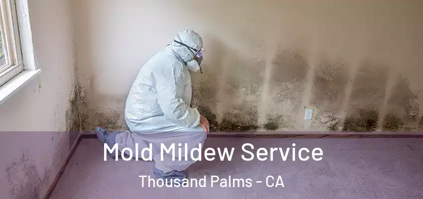  Mold Mildew Service Thousand Palms - CA