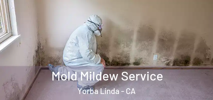  Mold Mildew Service Yorba Linda - CA
