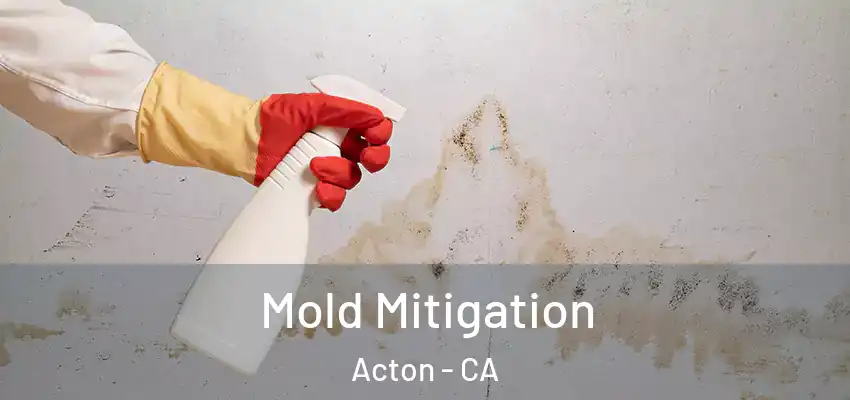  Mold Mitigation Acton - CA