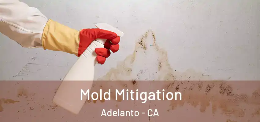  Mold Mitigation Adelanto - CA