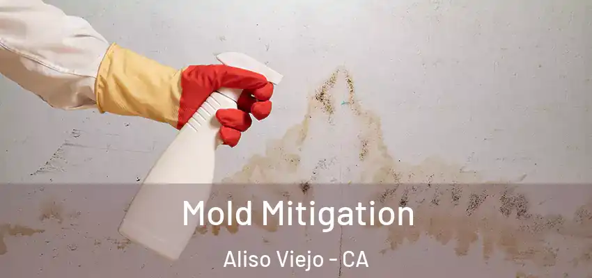  Mold Mitigation Aliso Viejo - CA