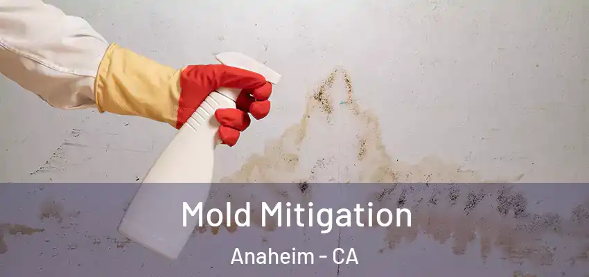  Mold Mitigation Anaheim - CA