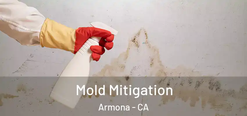  Mold Mitigation Armona - CA