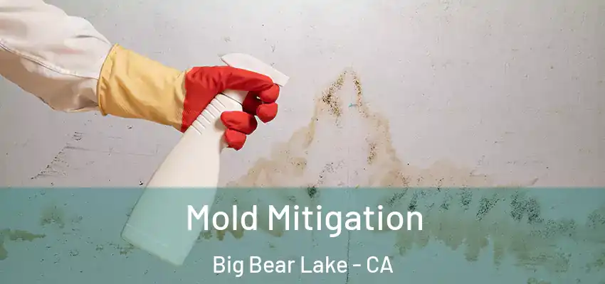  Mold Mitigation Big Bear Lake - CA