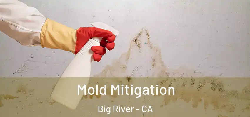  Mold Mitigation Big River - CA