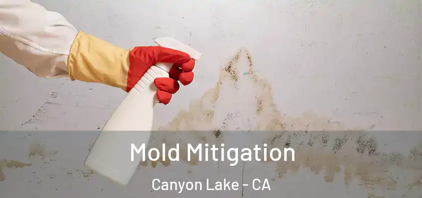  Mold Mitigation Canyon Lake - CA