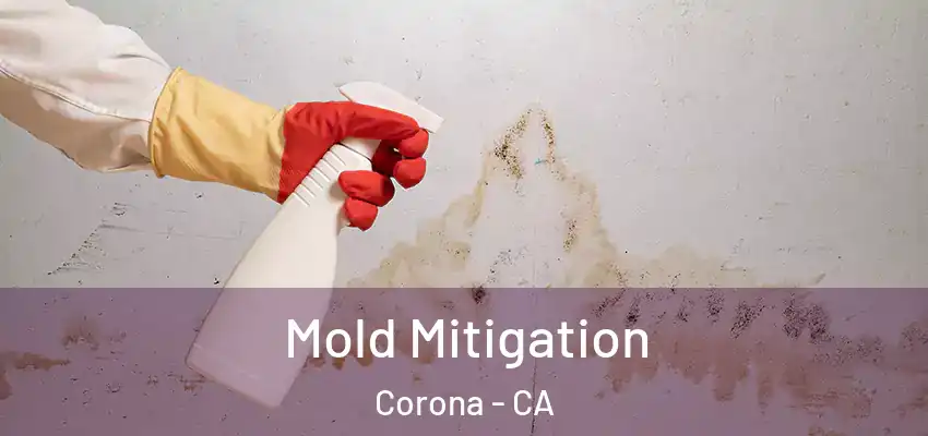  Mold Mitigation Corona - CA