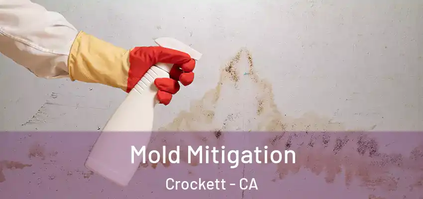  Mold Mitigation Crockett - CA