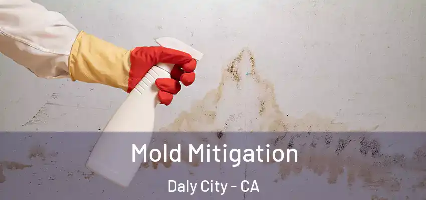  Mold Mitigation Daly City - CA