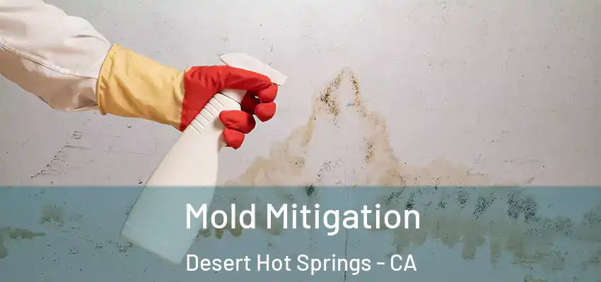  Mold Mitigation Desert Hot Springs - CA